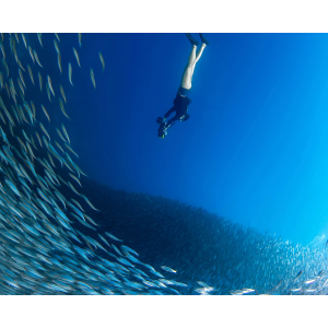 Sublue Navbow Scooter Submarino Potente y Compacto