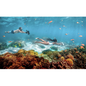 Sublue MixPro Scooter Submarino Fácil para Snorkel