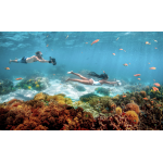 Sublue MixPro Scooter Submarino Fácil para Snorkel