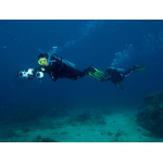 Sublue Mix Scooter Submarino Fácil para Snorkel