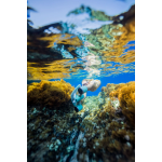 Sublue Mix Scooter Submarino Fácil para Snorkel