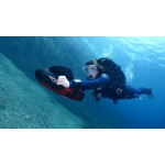 Sublue Vapor Scooter Subacuático para Snorkel y Buceo